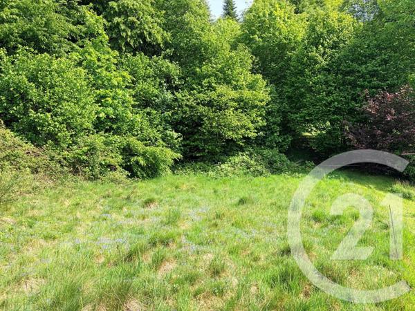 Terrain à vendre  1352 m 2   ST ETIENNE LES REMIREMONT  - 88