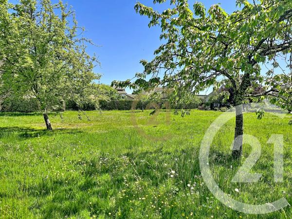 Terrain à vendre  1352 m 2   ST ETIENNE LES REMIREMONT  - 88