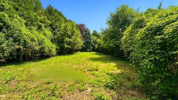 Terrain à vendre BETHENIVILLE (51)