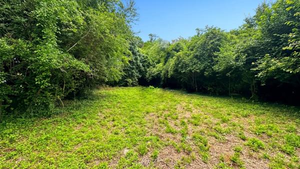 Terrain à vendre BETHENIVILLE (51)