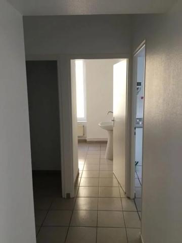 Appartement à louer à Lyon (69007)