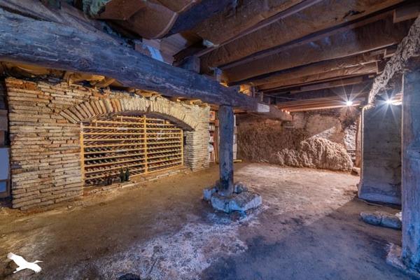 Maison à vendre |  Mas-Grenier |  9 pièces | 310 m²