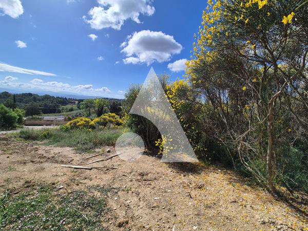 Terrain 2250 m2