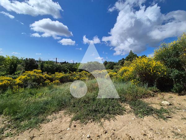 Terrain 2250 m2