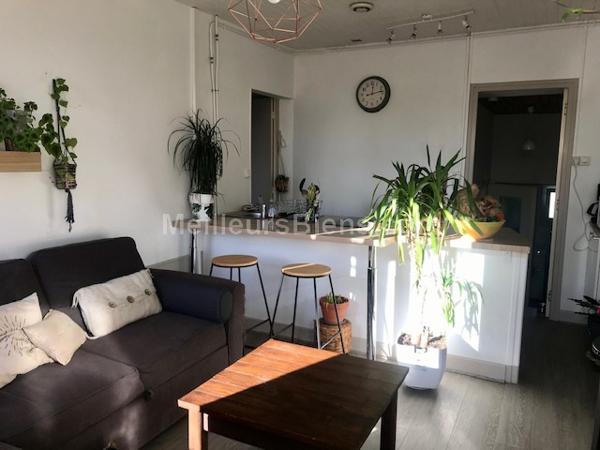 SEISSAN - Joli plain-pied rénové de 137 m2 avec gîte - 4 hectares + boxes chevaux