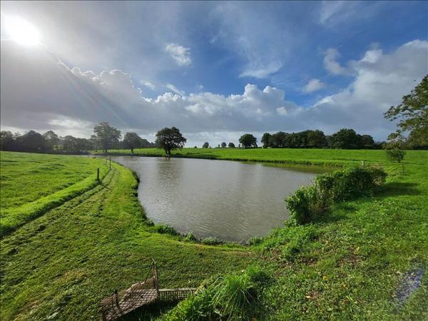 Terrain à vendre |  La Ferrière |  8400 m²