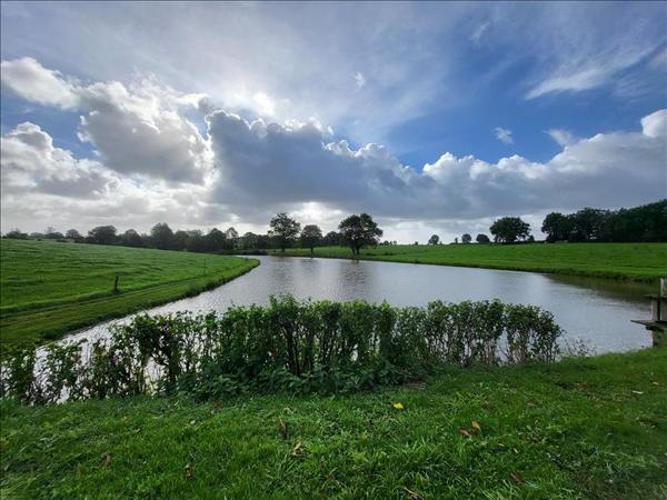 Terrain à vendre |  La Ferrière |  8400 m²