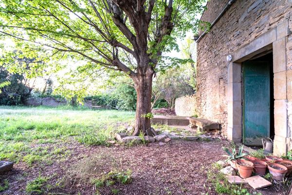 Maison Vigneronne avec jardin Laure minervois