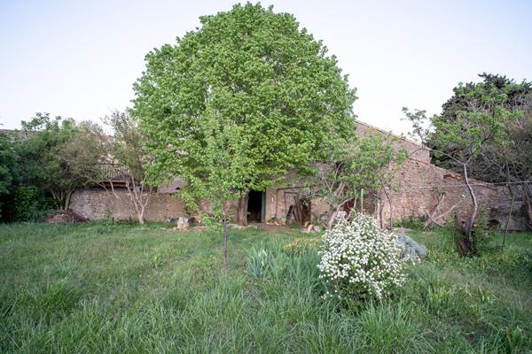 Maison Vigneronne avec jardin Laure minervois