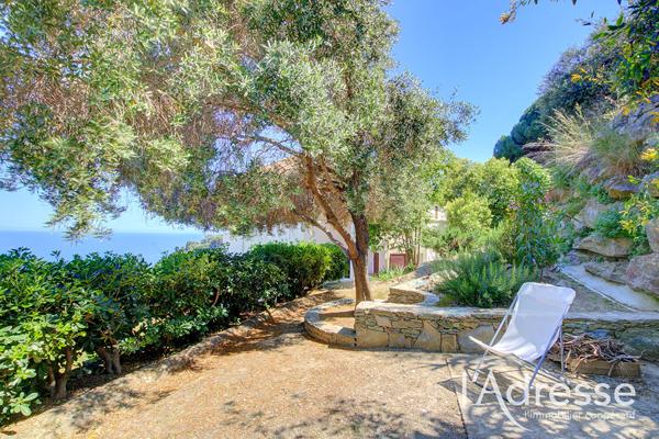 Maison BASTIA MONSERATO 6 pièces 180 m2 piscine studio indépendant