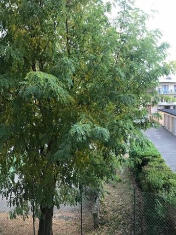APPARTEMENT OULLINS BOULEVARD EMILE ZOLA - T2 OULLINS ...
