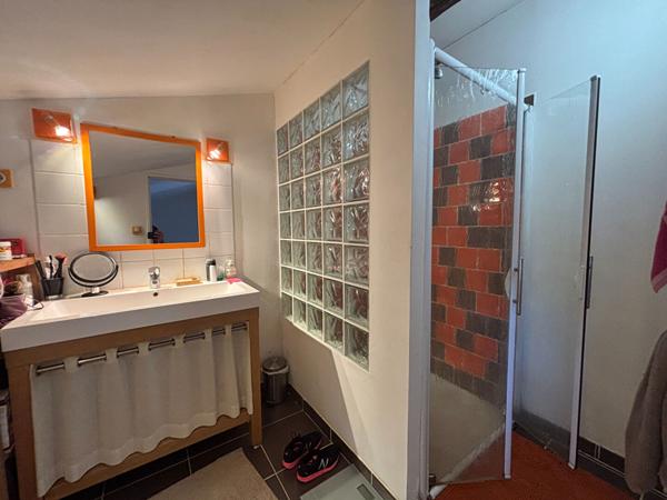 Proche CARCASSONNE, Maison de charme avec extérieur