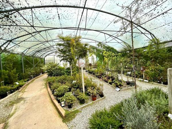 Fonds et/ou murs commerciaux à vendre à Saint-Sauveur-le-Vicomte dans la Manche (50390), ref : 50061-1076064