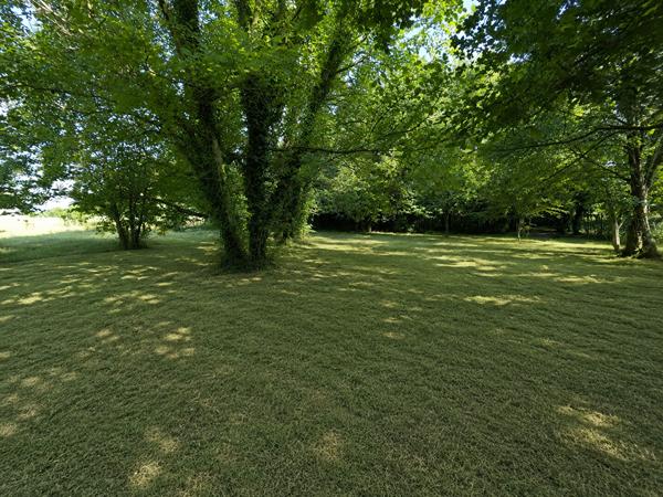 Terrain à bâtir
