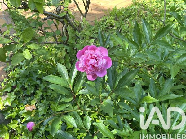 Maison à vendre 6 pièces 169 m² Brunoy