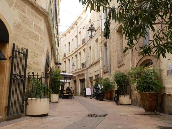 Appartement à louer à Montpellier (34000)