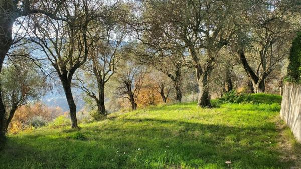 Terrain à vendre    Contes