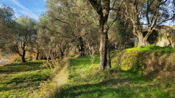 Terrain à vendre    Contes