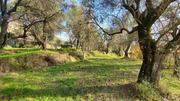 Terrain à vendre    Contes