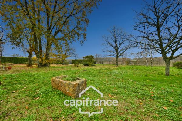 Dpt Charente Maritime (17), à vendre entre SAINT JEAN D'ANGELY et SAINTES maison de caractère P8 sur 3800m² de jardin clos