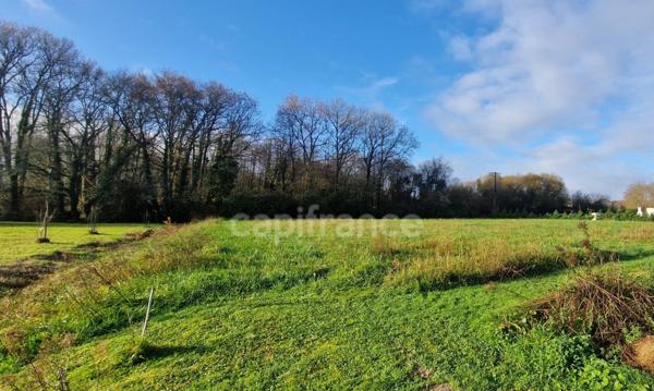 Terrain à vendre de 2600m² LABASTIDE D'ARMAGNAC (40)