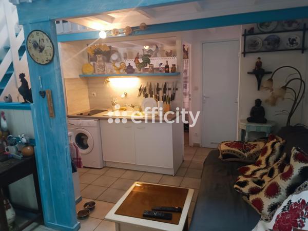 Appartement 2 pièces - 55 m² Exclusivité efficity