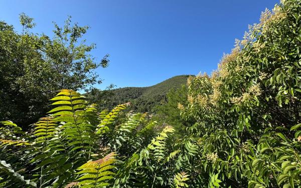 Maison à vendre    6 pièces •  Saint-Jean-de-Valériscle