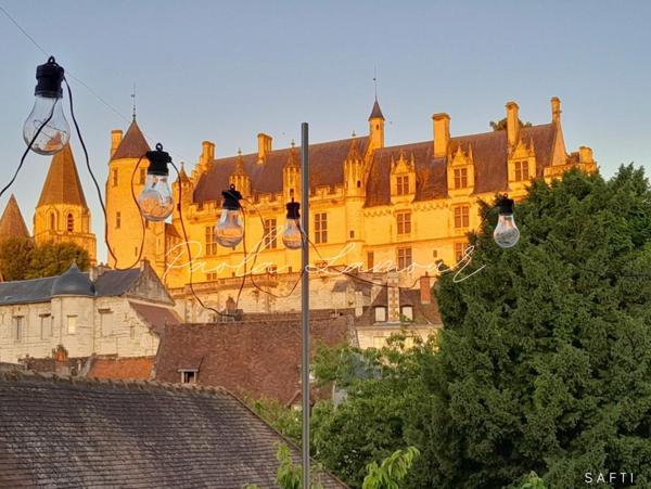 Très belle demeure en centre de Loches