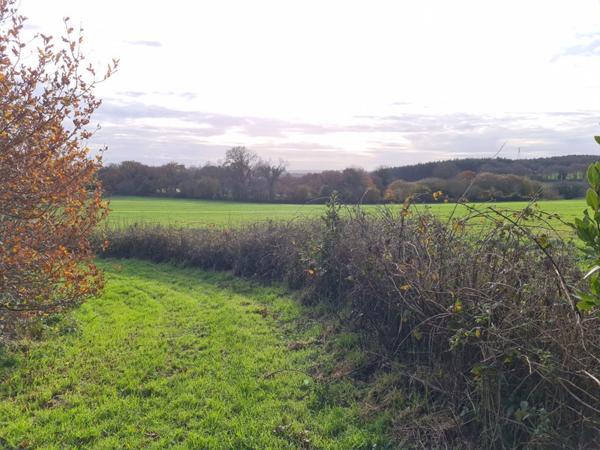 Boqueho (22170) Maison en pierre sur 5500m2 de terrain