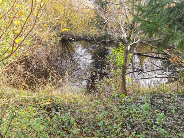 Boqueho (22170) Maison en pierre sur 5500m2 de terrain