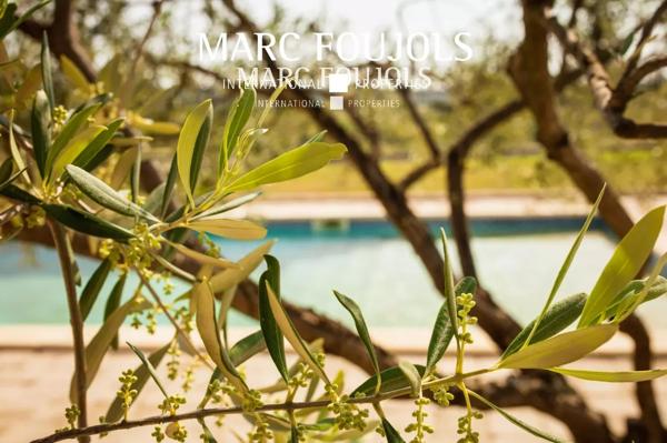 Proche Nîmes – Maison provençale avec jardin et piscine