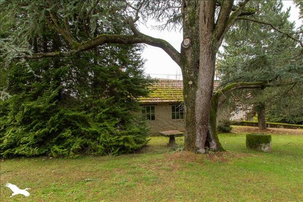 Maison à vendre |  Bourganeuf |  8 pièces | 220 m²