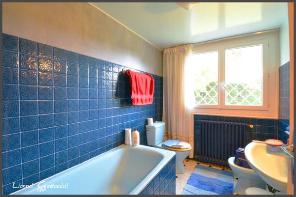 Deux Maisons sur un vaste terrain arboré, idéal pour une famille avec personne âgée ou location saisonnière