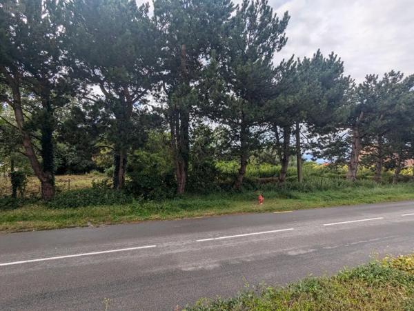Achat - Terrain à bâtir | Terrain à bâtir Crochte 59380 1150 m 2