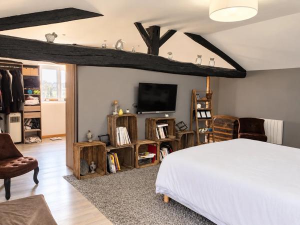BELLE MAISON NEN PIERRE 325 m2 MIREBEAU