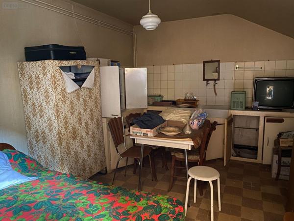 Maison à vendre à Châtillon-sur-Indre dans l'Indre (36700), ref : 1048880