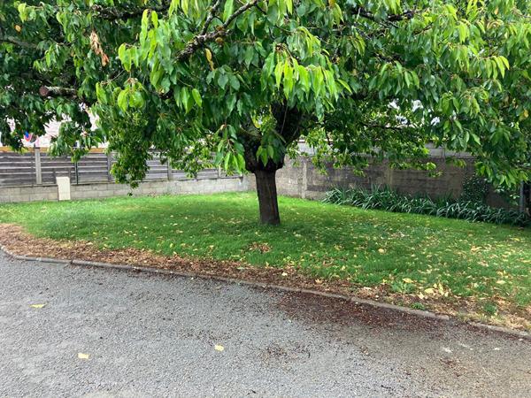 Maison Thouare Sur Loire 6 pièce(s) 130 m2 , Thouare sur loire Maison Thouare Sur Loire 6 pièce(s) 130 m2 , Thouare sur loire