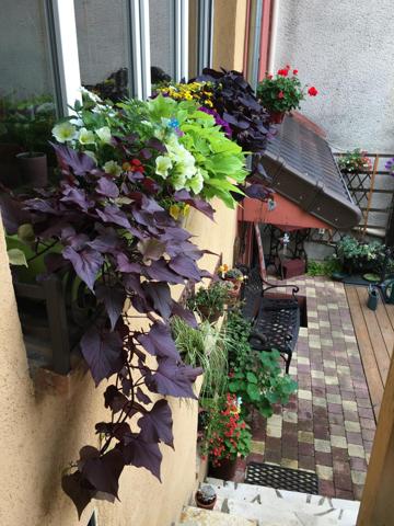 Maison 4 pièces - 76 m²