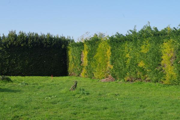 Dompierre-sur-Mer (17139) Terrain à batir de 353 m2 environ