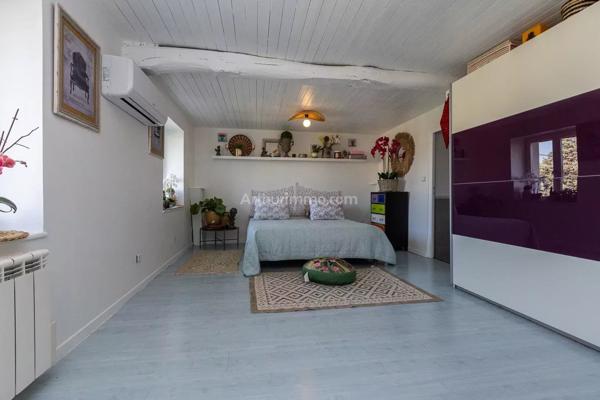 Vente Maison 10 pièces 219 m2 à Les Avenières