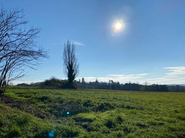 AV Terrain constructible à Trelissac 24750 proche Hopital  (1 hectare)