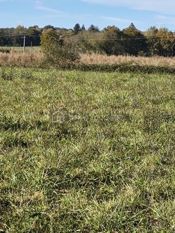 Terrain de 1 500 m²