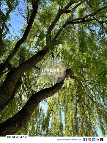 Allériot (71380) MAISON 130 m² | 3 CH | 1714 m² | PISCINE | GARAGE