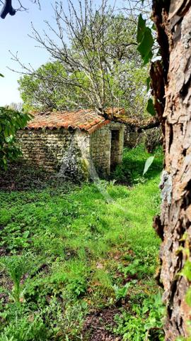 Maison de pierre fin 19ème siècle de 6 pièce(s) 169 m2