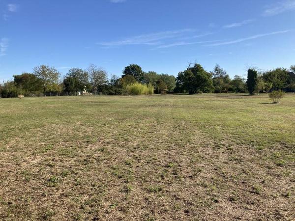 Terrain à vendre |  Civray |  7136 m²