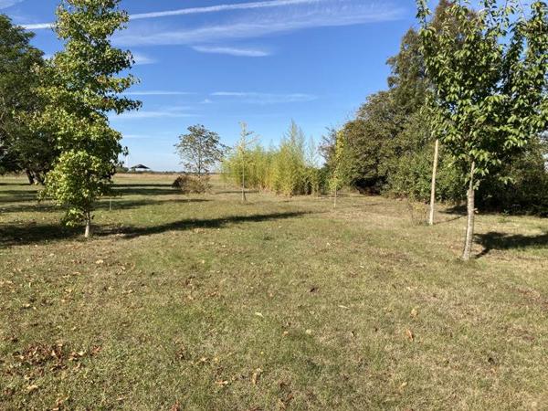 Terrain à vendre |  Civray |  7136 m²