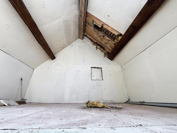Idéalement située au coeur du village de Bleneau, à deux pas des commerces, du marché et des commodités, venez découvrir cette charmante petite maison de ville qui saura vous séduire par son potentiel.  Que ce soit pour y créer votre petit nid douillet, pour se lancer dans l'investissement locatif à l'année ou saisonnier cette maison vous offre tous les atouts nécessaires à la réussite de votre projet.  Comme vous pouvez le constater sur les photographies des travaux seront nécessaires, néanmoins le gros œuvre ainsi que la toiture sont en bon état.  Les fenêtres en double vitrage ont également été changé.  La maison est composée d'une entrée sur le séjour, une pièce pouvant faire office de cuisine se situe juste derrière. Vous trouverez ensuite la salle d'eau, les wc ainsi qu'un espace pouvant servir de buanderie. A l'étage, se trouve une pièce faisant office de chambre ainsi qu'un grenier. un jardinet d'agrément vient compléter cet ensemble.  Venir visiter, c'est constater que pour moins cher qu'une voiture neuve on peut devenir propriétaire et construire de beaux projets.