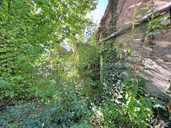 Idéalement située au coeur du village de Bleneau, à deux pas des commerces, du marché et des commodités, venez découvrir cette charmante petite maison de ville qui saura vous séduire par son potentiel.  Que ce soit pour y créer votre petit nid douillet, pour se lancer dans l'investissement locatif à l'année ou saisonnier cette maison vous offre tous les atouts nécessaires à la réussite de votre projet.  Comme vous pouvez le constater sur les photographies des travaux seront nécessaires, néanmoins le gros œuvre ainsi que la toiture sont en bon état.  Les fenêtres en double vitrage ont également été changé.  La maison est composée d'une entrée sur le séjour, une pièce pouvant faire office de cuisine se situe juste derrière. Vous trouverez ensuite la salle d'eau, les wc ainsi qu'un espace pouvant servir de buanderie. A l'étage, se trouve une pièce faisant office de chambre ainsi qu'un grenier. un jardinet d'agrément vient compléter cet ensemble.  Venir visiter, c'est constater que pour moins cher qu'une voiture neuve on peut devenir propriétaire et construire de beaux projets.