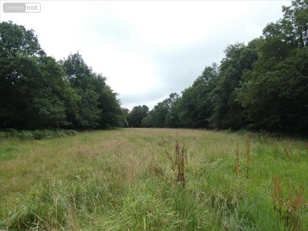 Terrain à Batir à vendre à Loqueffret dans le Finistère (29530), ref : 2183