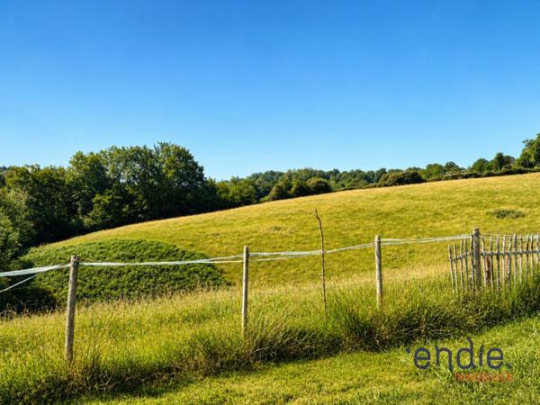 Propriété avec dépendances sur 7,5 hectares au charme authentique
